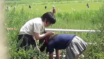 Japanese teen babes pee