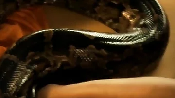 Rise Glamour Serpent Rise!