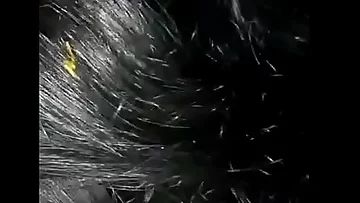 tamil married doll joy with her neighbour