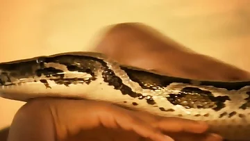 The Starting Of Mankind