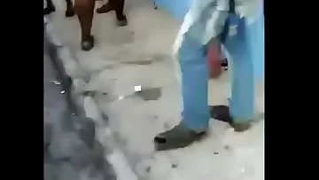 On Route To A Soiree Jamaican Dude Humps Random Plumper In Public