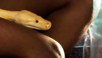 The Most Provocative Ritual