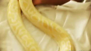 Gorgeous Luving Honey From Exotic Asia