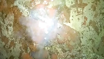 Good-sized nutting &lpar;Jeet & Pinki Bhabhi videos&rpar;