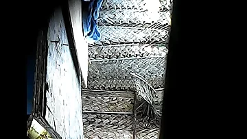 Video 20160105 155807