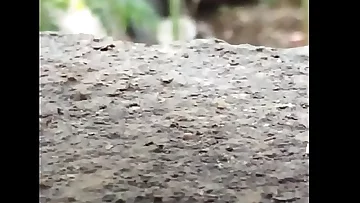 trim&period;42A86771-2757-4060-B99F-42FD08C2B5F8&period;MOV