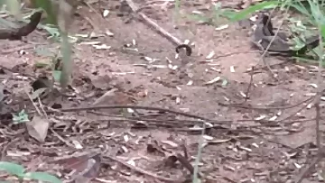 Kamala Aunty Smartphone lo Srungaram with Neighbour Telugu Smartphone Chat  Chat Telugu Mu low