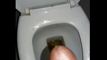 bangla dark-hued spear