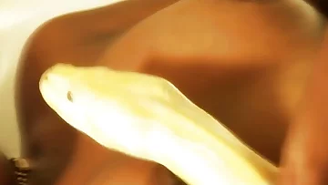 Wonderful Bronze Indian Bod